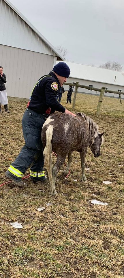 Chiefdonkey